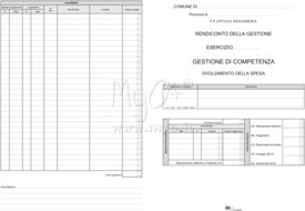 SVOLGIMENTO DELLA SPESA IN CONTO COMPETENZA - (CONF. DA 50 PZ.), 098230