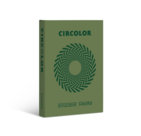 Carta Riciclata per Fotocopiatrici e Stampanti, A4, Vari Colori, Varie grammature, verde (rosmarino)