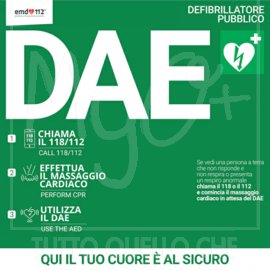Targa Forex per Defibrillatore con Algoritmo di Intervento, Cartello 38×38 cm Forex Verde/Bianco